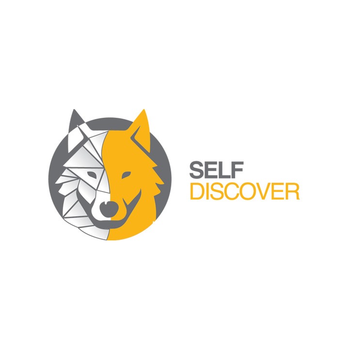self-discover